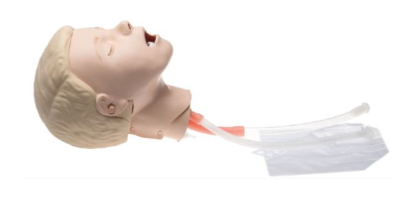 Resusci ® Junior Airwaykopf Update Kit