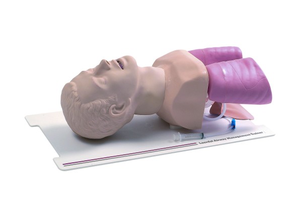 Airway-Management-Trainer