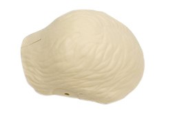 Modelliertes Haar, für Resusci® Anne / -Modular-Systems